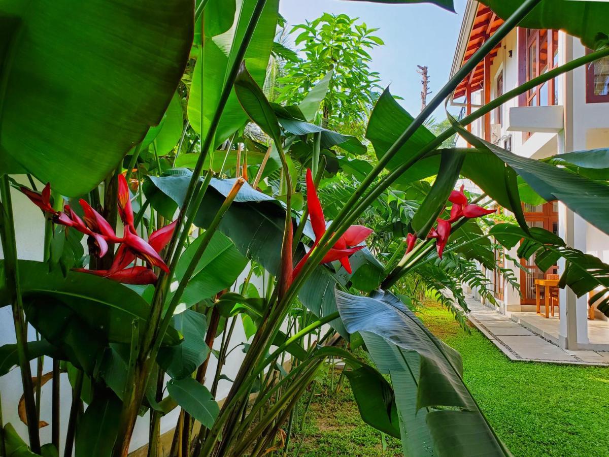 Villa Ema Ґалле Екстер'єр фото